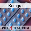 Kamgra viagra4